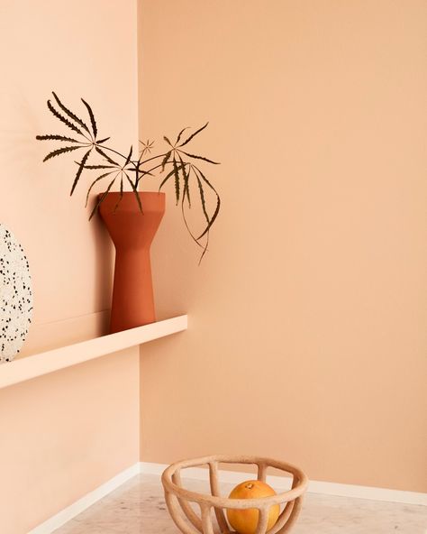 Rosy Pink Paint Color, Sunset Wall Color, Pale Orange Walls, Peach Kitchen Walls, Apricot Bathroom, Light Orange Paint Colors, Pink Accent Wallpaper, Peach Paint Colors, London Penthouse