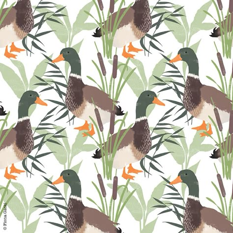 Duck Pattern Illustration, Mallard Duck Illustration, Mallard Duck Wallpaper, Duck Illustration Cute, Mallard Illustration, Mallard Wallpaper, Hunting Illustration, Duck Illustration, Duck Wallpaper