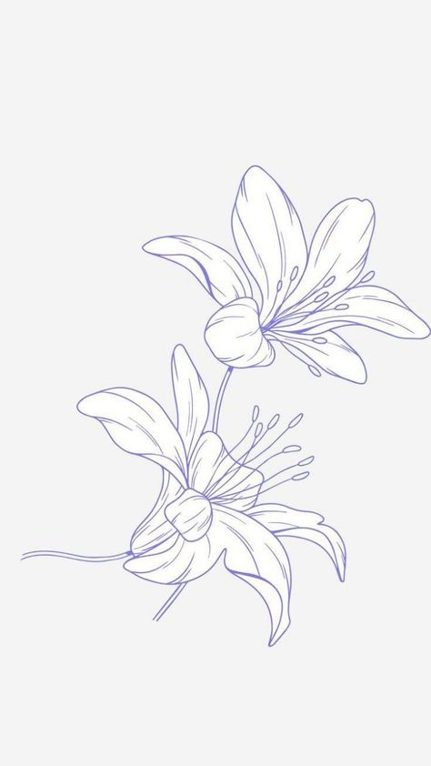 Water Lily Tattoos, Lilies Drawing, Lily Flower Tattoos, Tatoo Inspiration, Flower Line Drawings, Lily Tattoo, Red Tattoos, Minimalist Tattoos, Classy Tattoos