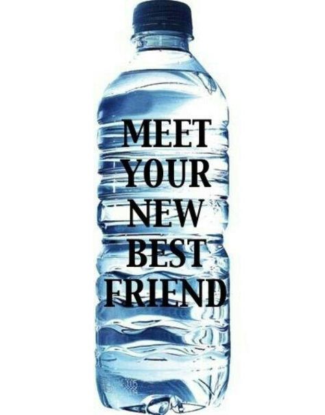 Meet your new best friend. Diet Motivation Quotes, Losing Weight Motivation, Makanan Diet, Motivation Goals, Funny Holiday, Diet Motivation, Fresh Cut, Dream Body, Holiday Shirts