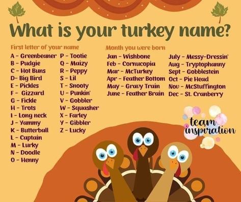 Scentsy Thanksgiving Games, Scentsy Thanksgiving, Funny Name Generator, Scentsy Party Games, Thanksgiving Trivia, Scentsy Games, Thanksgiving Facts, Pampered Chef Party, Chef Party