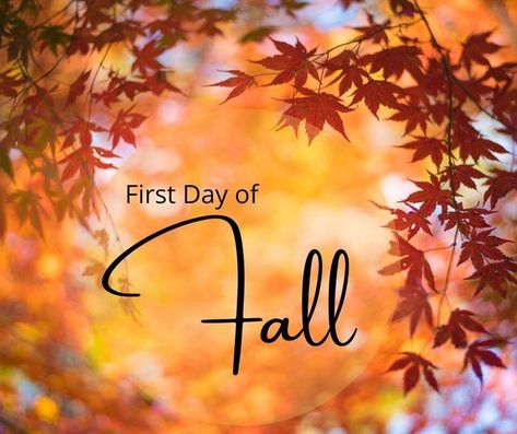 Happy 1st Day Of Fall, Goodbye Summer Hello Fall, 1st Day Of Fall, First Day Of Fall, Goodbye Summer, House Bed, 1st Day, To Say Goodbye, Hello Fall