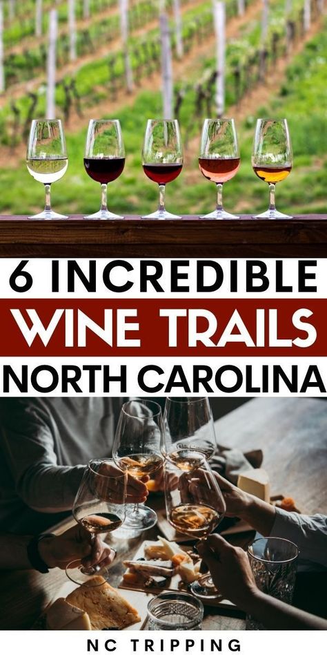 North Carolina is filled with incredible wineries! Sometimes it can be difficult to choose which one to visit, so these North Carolina Wine Trails make it easy! Read this article from some ideas on what makes each wine trail different and help you choose. #USA #NC #NCWINE #NorthCarolina #wine #vineyard #travel Mount Airy North Carolina, Mooresville North Carolina, Brevard North Carolina, Camping Wine, North Caroline, Visit North Carolina, Cherokee Nc, North Carolina Beaches, North Carolina Travel