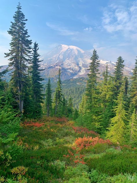 Landscape Pics, Landscape Pictures, House Goals, Nature Paintings, Washington State, Mount Rainier, Seattle, Room Design, Washington