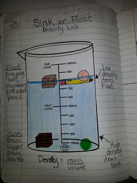 Density lab 5th Grade Science Bulletin Boards, Density Notes, Density Lab, Physics Lab, Lab Science, Fourth Grade Science, Science Anchor Charts, Book Notes, 7th Grade Science