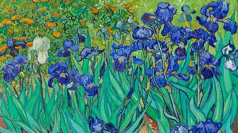 Van Gogh Wallpaper, Enchanted Gardens, Edmund Dulac, Van Gogh Irises, Wallpaper Notebook, Laptop Wallpaper Desktop Wallpapers, Computer Wallpaper Desktop Wallpapers, Cute Laptop Wallpaper, Arte Van Gogh