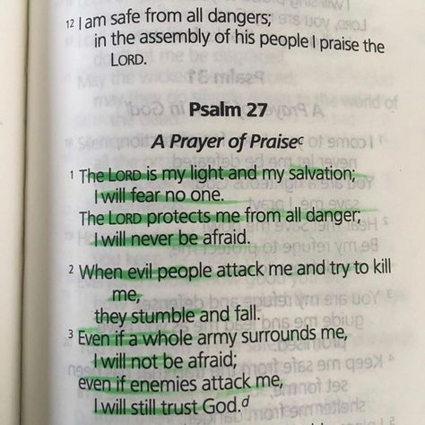 Source Psalms Magick, Yeshua Quotes, Psalms 27, The Lord Is My Light, Christian Advice, Bible Board, Prayer Of Praise, God 1st, Biblical Principles