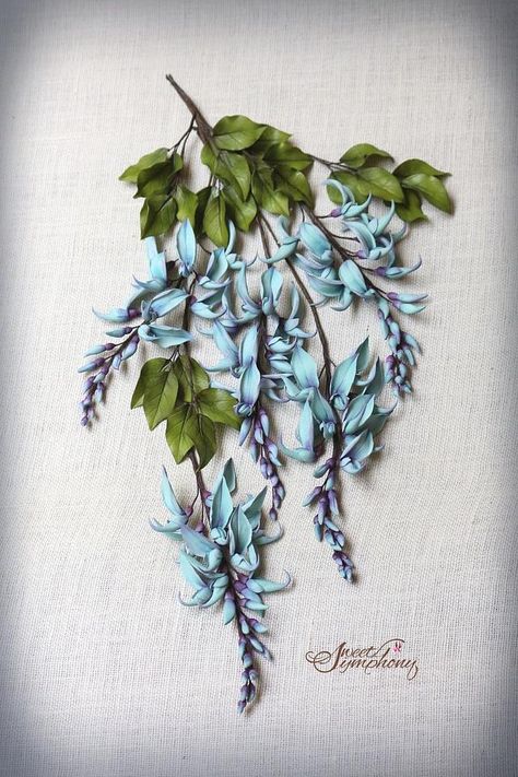 Jade Vine Jade vine is a very beautiful ornamental creeper; native to the tropical forests of Philippines. The blossoms of the jade vine resemble a parrot’s beak or a cat’s claw, but it’s their colour which is so rare in nature. The stunning...