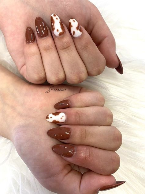 Cowprint Nail Design Brown, Cute Brown Nails Almond, Cowgirl Almond Nails, Cowprint Nail Design Almond, Brown Cow Print Nails Short, Fall Nails Cow Print, Cow Almond Nails, Cow Nails Brown, Brown Cowprint Nails