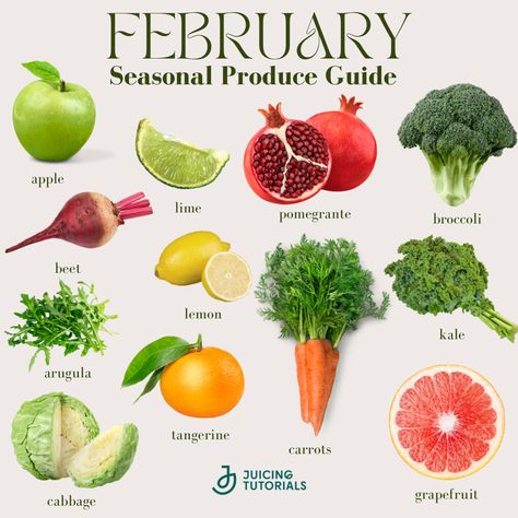 With February right around the corner be sure to enjoy seasonal produce available to you! 🍎🥦🍊 There's something special about enjoying fruits and veggies that are at their peak. Not only do they taste amazing, but they're also packed with the highest levels of nutrients, are often more affordable, and support local farmers. Let's savor the flavors of the season! • • • • #EatLocal #SeasonalProduce #February Best Prebiotic Foods, Nature Knowledge, Farm Orchard, Seasonal Produce Guide, Body Temple, Food Shelf Life, Gerd Diet, Food Shelf, Food Salad