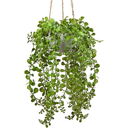 Fake Greenery, Artificial Palm Leaves, Fake Hanging Plants, Ficus Pumila, Ceramic Succulent Pots, Artificial Hanging Plants, Artificial Plants Indoor, Fake Succulents, Hanging Plants Indoor