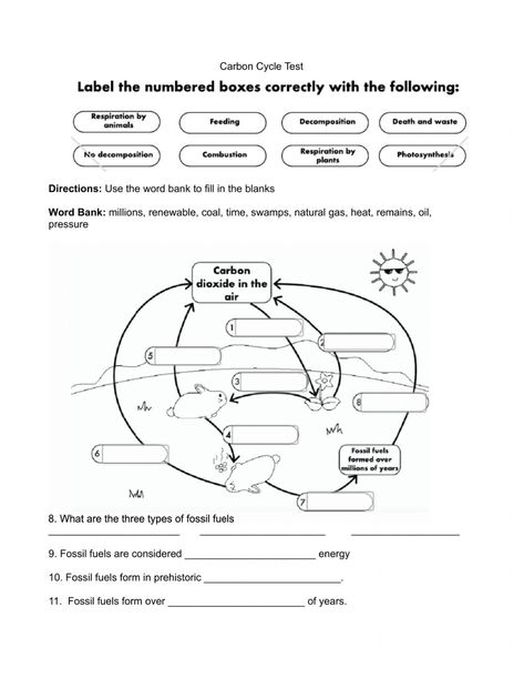 Carbon Cycle Diagram, The Carbon Cycle, Carbon Cycle, Rock Cycle, Educational Worksheets, Math Curriculum, Math Worksheet, Worksheet Template, Developing Country