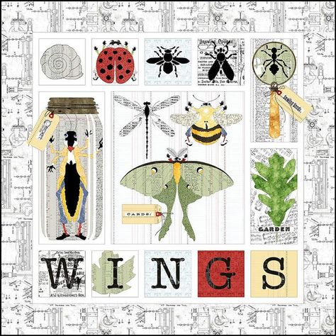 PRE-ORDER J. Wecker Frisch in the Wings Quilt Kit 65 X - Etsy The Moth, Riley Blake Fabric, Art & Craft Kit, Art Journal Techniques, Spark Creativity, Holiday Patterns, Simple Game, True Art, The Wings