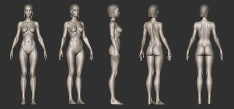 Female Back Muscles, Female Action Poses, How To Drow, Anatomy Studies, 3d Anatomy, 3d Templates, Female Anatomy Reference, Anatomy Sculpture, Action Pose Reference