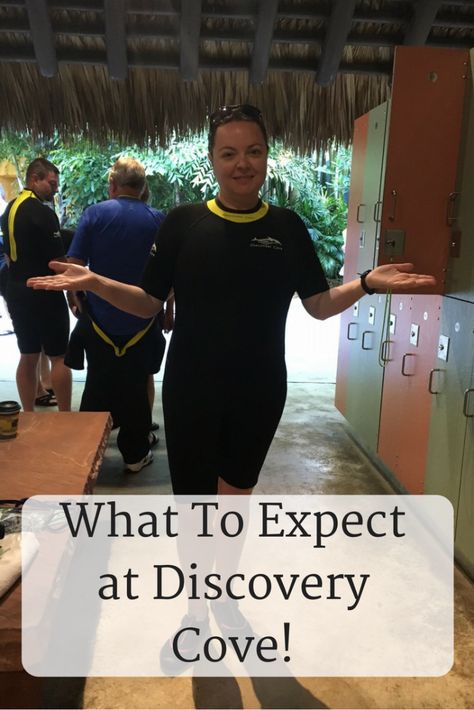 Discovery Cove Orlando Tips, Seaworld (orlando), Discovery Cove Orlando, Tampa Theatre, Busch Gardens Tampa Bay, Frugal Travel, Animal Encounters, Orlando Resorts, List Ideas