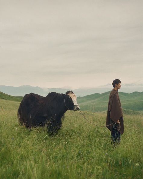 WePresent | Kin Coedel’s photos document the lives of Tibetan nomads Art Reference People, Everyday Life Photography, Farm Core, A Well Traveled Woman, Forest Home, Farm Photography, Become A Photographer, Majestic Creatures, Well Traveled