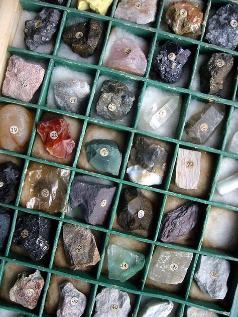 vintage mineral and rock specimens by copabananas, via Flickr Rock Collecting Aesthetic, Rock Collection Aesthetic, Geologist Aesthetic, Rock Collection Display, Nature Projects, Hip Hip Hooray, Printers Tray, Semiprecious Stone Jewelry, Collection Display