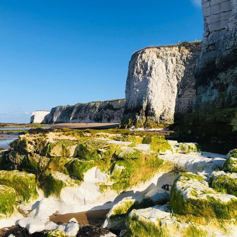 Botany Bay (Kingsgate) - All You Need to Know BEFORE You Go Botany Bay, Sea Cliff, Kent England, 2024 Vision, Botany, Trip Advisor, No 1, Vision Board, Need To Know