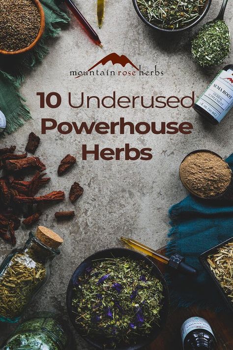 10 Underused Herbs for Wellness Giant Hyssop, Anise Hyssop, Medicine Garden, Home Apothecary, Camu Camu, Mountain Rose Herbs, Mountain Rose, Homemade Tea, Adaptogenic Herbs