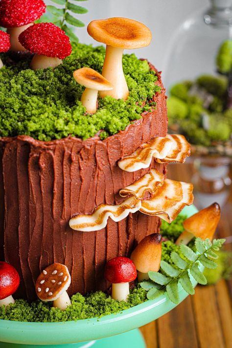 Enchanted Forest Chocolate Cake — Must Love Herbs Edible Mushrooms For Cake, Nature Cake Ideas, Forest Cake Ideas, Cake With Mushrooms, Unique Cake Recipes, Mushroom Birthday Cake, Mushroom Cakes, Nature Cakes, Enchanted Forest Cake