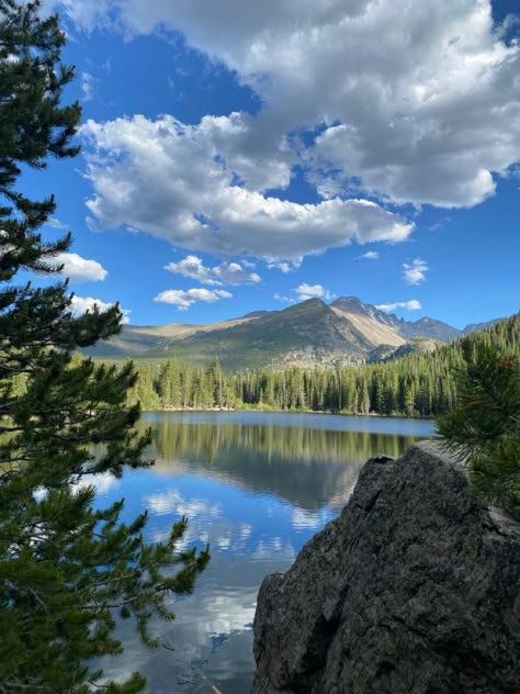 Colorado House Aesthetic, Denver Colorado Aesthetic, Colorado Vibes, Vacation In Colorado, Colorado Aesthetic, Cu Boulder, Colorado Wildflowers, Colorado Living, Colorado Trip