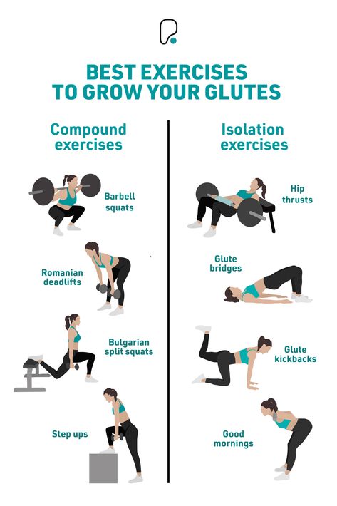 Infographic with 8 exercises that strengthen the glutes Workout Plan For Glutes At Home, Workout Plan To Grow Glutes, Leg Isolation Exercises, Glutes Exercises For Women Gym, Glute Workout For Beginners Gym, Isolation Workouts Glute Exercises, Exercises To Grow Your Glutes, Glute Builder Workout, Glute Growth Exercise