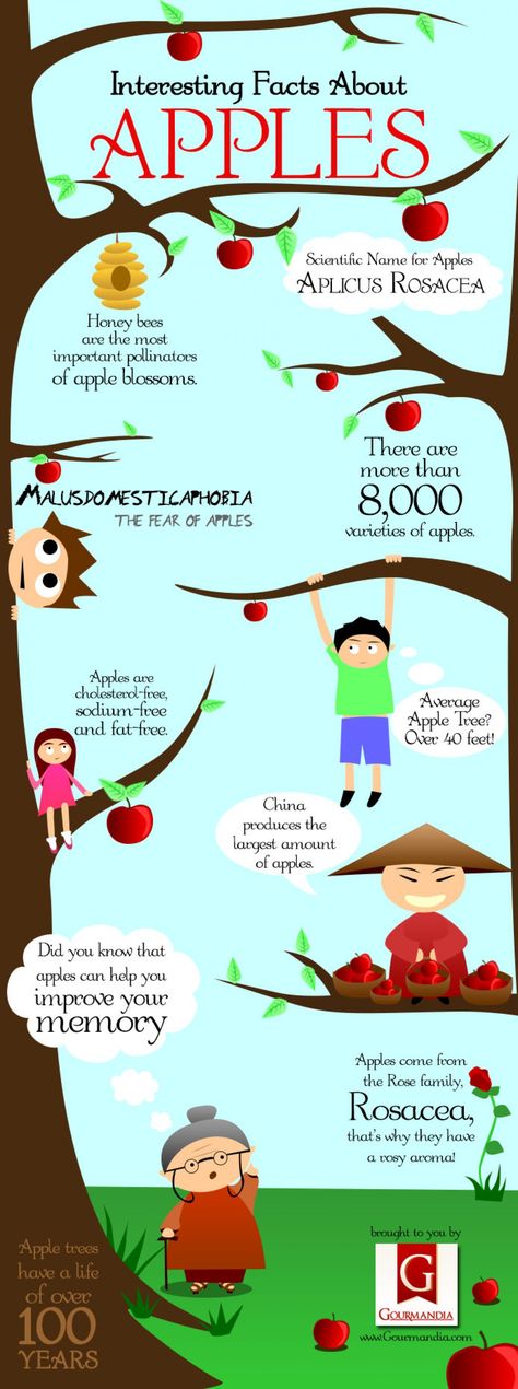 apple trivia | Interesting Facts About Apples | LOVE INFOGRAPHICS Apple Infographic, Apple Facts, Interesting Infographics, Fruit Facts, Apple Kindergarten, Apple Benefits, Random Tips, Adolescent Health, Interesting Facts About Yourself