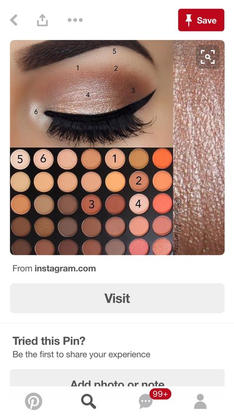 Morphe Eyeshadow Tutorial, Eyeshadow Tutorial Natural, Makeup Eyeshadow Brown Eyes, Simple Eyeshadow Looks, Natural Eyeshadow Looks, Fall Eyeshadow Looks, Eyeshadow Basics, Evening Eye Makeup, Daytime Makeup