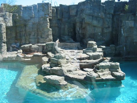 Zoo Inspiration, Zoo Ideas, Zoo Enclosures, Zoo Habitats, Zoo Habitats Design, Planet Zoo Habitat, Planet Zoo Habitat Ideas, Polar Bear Enclosure, Planet Zoo Exhibit Ideas