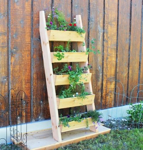 20 Beautiful DIY Planters Ladder Planter, Garden Ladder, Garden Planters Diy, Yard Crafts, Cedar Planters, Unanswered Questions, Garden Walls, Vertical Planter, Vertical Garden Diy