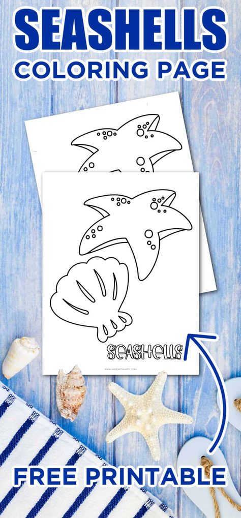 Have some beach fun with this free printable Seashell Coloring Page. Have some Summer coloring page fun. Great for kids of all ages! Seashell Coloring Pages, Summer Coloring Sheets, Beach Story, Beach Activity, Vbs 2025, Summer Arts And Crafts, Beach Coloring Pages, Summer Coloring, Summer Coloring Pages