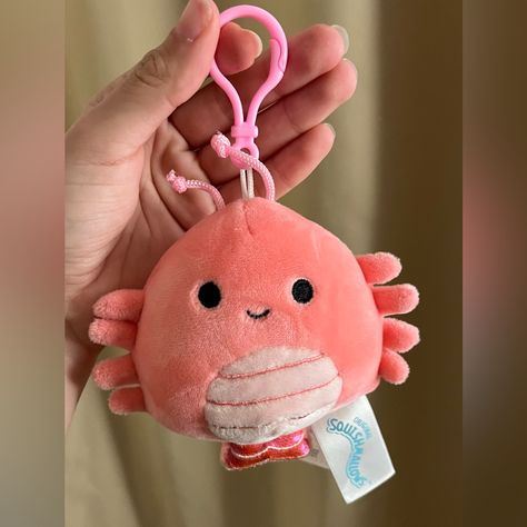 Squishmallow Keychain No Tags Clean Like New No Stains Or Marks Never Used Birthday Stuff, Like New, Tags, Birthday, Pink, Color