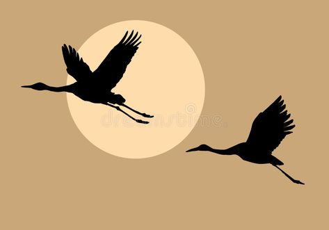 Crane Drawing, Flying Bird Silhouette, Fly Drawing, Bird Painting Acrylic, Bird Images, Japanese Crane, Bird Photos, Silhouette Clip Art, Crane Bird