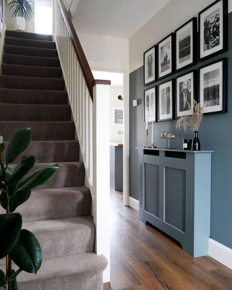 Isobel Waine on Instagram: “Make an entrance... This colour blocking and rad cover were a project from last lockdown. No projects planned this time round, so I'm…” Colour Block Staircase, Radiator Cover Hallway, Blue Hallway Ideas, Downstairs Hallway, Blue Hallway, House Extension Plans, Hallway Colours, House Staircase, Hallway Inspiration