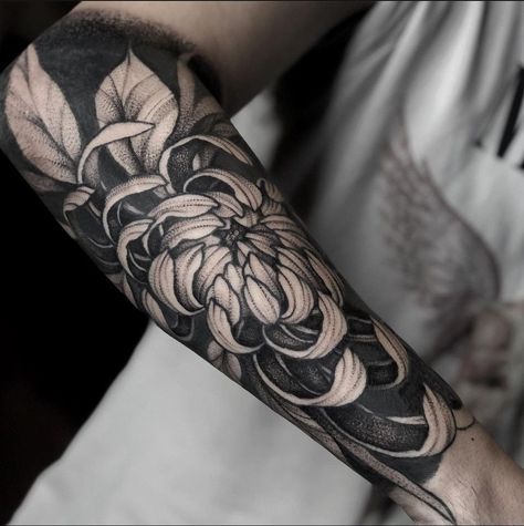 Chrisantem Tattoo, Black Chrysanthemum Tattoo, Crisantemo Tattoo, Japanese Flower Tattoo, Chrysanthemum Tattoo, Flower Tattoo Drawings, Girl Arm Tattoos, Traditional Tattoo Sleeve, Forearm Tattoo Design