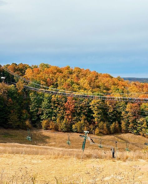 I couldn't wait to cross that bridge, the suspension was killing me. 🌉⁣ ⁣ Leaf Peeper Alert! Swipe through for colors! 🍁⁣ ⁣ The SkyBridge Michigan at Boyne Mountain in Northern Michigan is the longest timber towered suspension bridge in the world! At 1200 feet long and 118 feet high, the SkyBridge offers spectacular views of the Boyne Valley. ⁣ ⁣ Take the chairlift up and walk across to see the fall foliage in its peak right now.⁣ ⁣ We had to wait in a long line to get to the shuttle, and ano... Skybridge Michigan, Carrie Green, Boyne Mountain, Killing Me, Suspension Bridge, Northern Michigan, Fall Foliage, Travel Experience, The Fall