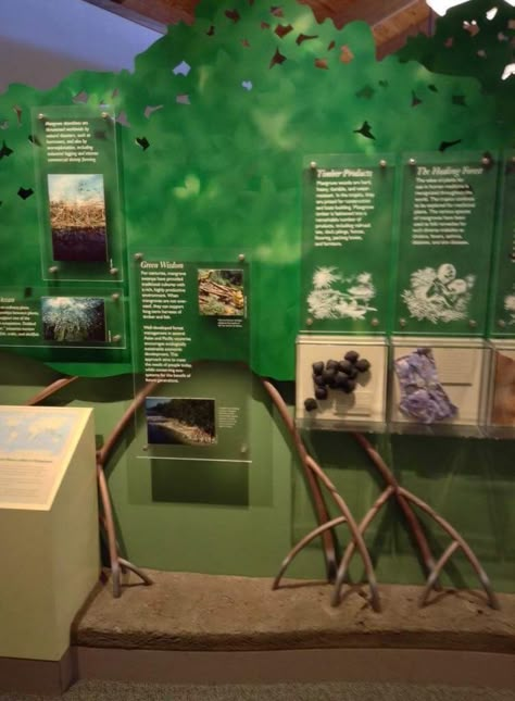 Exhibition Hall in Anne Kolb Nature Center. Interactive and static displays on the mangrove ecosystem. Mangrove Ecosystem, Nature Exhibition, Museum Display Cases, Zoo Design, Photo Exhibit, Interactive Exhibition, 3d Tree, Interactive Display, Concept Diagram