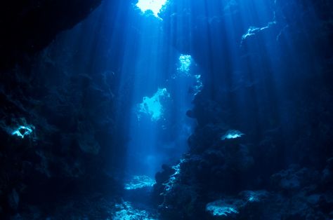 How to Have the Best Time Diving at Devil’s Grotto Mariana Trench Ocean, Ocean Trench, Mariana Trench, Sea Explorer, Underwater Background, Underwater Caves, Ocean Backgrounds, Cave Diving, Marianas Trench