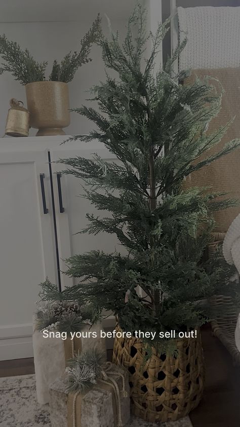 My Texas House Potted 4ft Pre-Lit … curated on LTK My Texas House Christmas, My Texas House Christmas Tree, My Texas House, Texas House, Christmas Decorating, Texas, Shop My, The Creator, Christmas Decorations