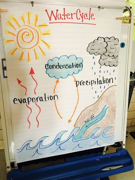 Water Cycle Vocabulary Words, Water Cycle Anchor Chart 2nd Grade, The Water Cycle Anchor Chart, Water Cycle 3rd Grade, Water Cycle For Preschoolers, Water Cycle Preschool Activities, Water Anchor Chart, Water Cycle Craft Preschool, Water Study Creative Curriculum