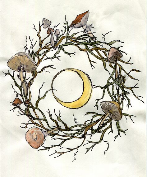 May the Moon Be My Guide — fairy ring 10/30/14