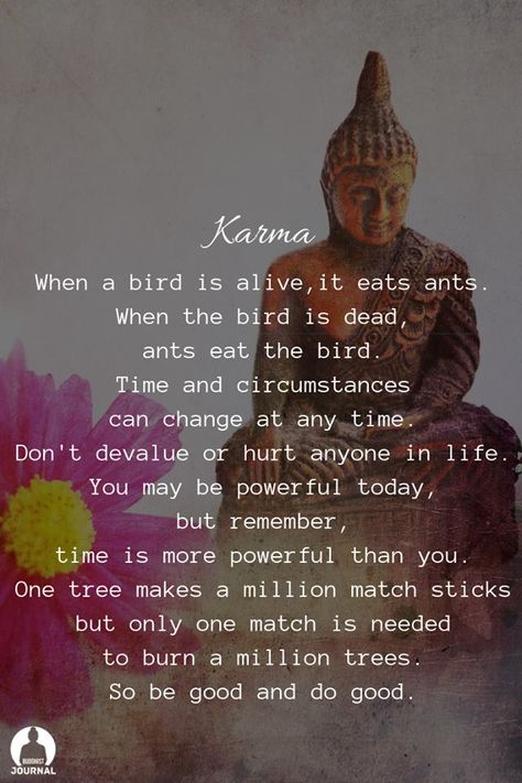 Buddhism Beliefs, Philosophy Of Life, Buddhist Wisdom, Buddhism Quote, Buddhist Quotes, Awakening Quotes, Buddha Quote, Life Journal, Kindness Matters