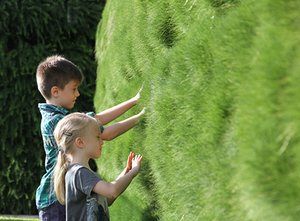 Lady Cilento Children’s Hospital's therapy gardens Nature Trail Design, Hospital Landscape, Healing Garden Design, Child Friendly Garden, Architectural Landscape, Children Hospital, Healing Garden, Nature Trails, Sensory Garden