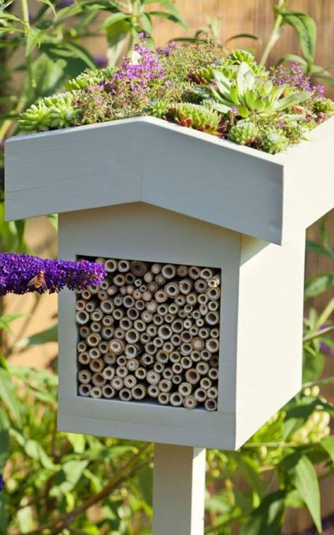 Backyard Bee, Bee Friendly Garden, Bee Hotel, Bug Hotel, Insect Hotel, Flowers Growing, Bee Garden, Wildlife Gardening, Pollinator Garden