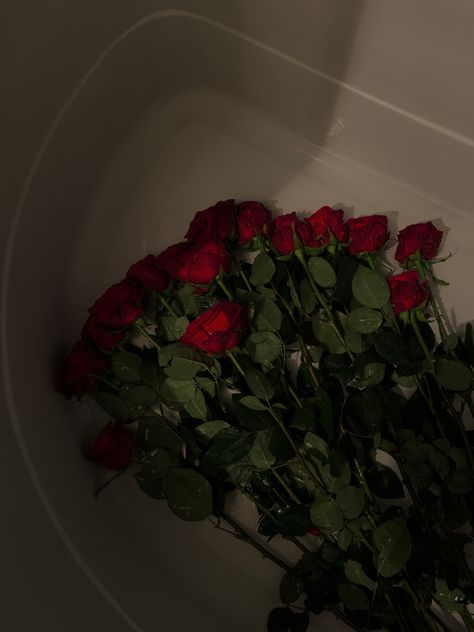 Rose Day Snap, Red Rose Asthetics, Rose Asthetics, Dark Red Highlights, Maroon Flowers, Dark Red Roses, Luxury Flower Bouquets, Flowers Photography Wallpaper, Red Highlights