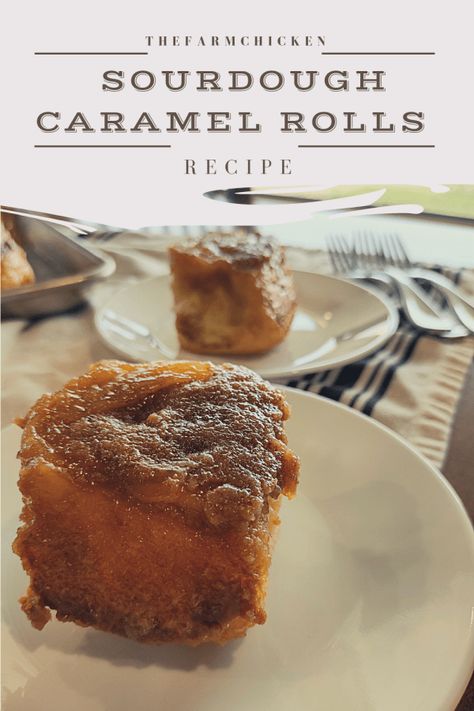 Sourdough Caramel Rolls with a Simple Caramel - TheFarmChicken Sourdough Discard Caramel Rolls, Roll Dough Recipe, Sourdough Breads, Sourdough Rolls, Sourdough Cinnamon Rolls, Caramel Rolls, Prove Me Wrong, Sourdough Recipe, Einkorn Flour