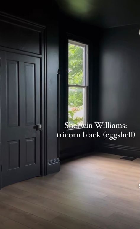 Black Walls White Doors, Black Walls Light Floors, Dark Interior Wall Colors, Black Walls And Trim, Black Cottage Interior, Dark Door Paint Color, Dark Walls With Dark Trim, Deep Moody Green Paint Color, All Black Walls Bedroom