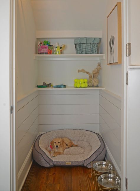 Puppy Room Decor, Doggy Doors, Dog Nook, Dog Closet, Dog Room Decor, Pet Gates, Dog Bedroom, Puppy Room, Dog Corner