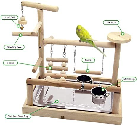 Bird Playground, Bird Play Gym, Parrot Play Stand, Diy Bird Toys, Parrot Stand, Parrot Perch, Bird Stand, Bird Supplies, Parrot Bird