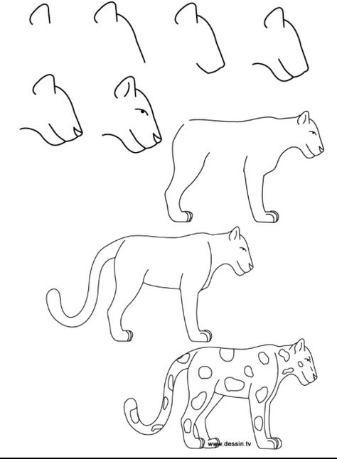 How to draw a leopard Trin For Trin Tegning, Jungle Drawing, Cute Easy Animal Drawings, Leopard Drawing, Realistic Eye Drawing, Easy Animal Drawings, Easy Drawing Steps, Easy Drawings For Beginners, How To Draw Steps